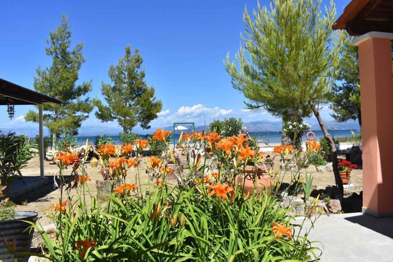 Bouka Beachfront Bungalows Agios Nikolaos  Exterior foto